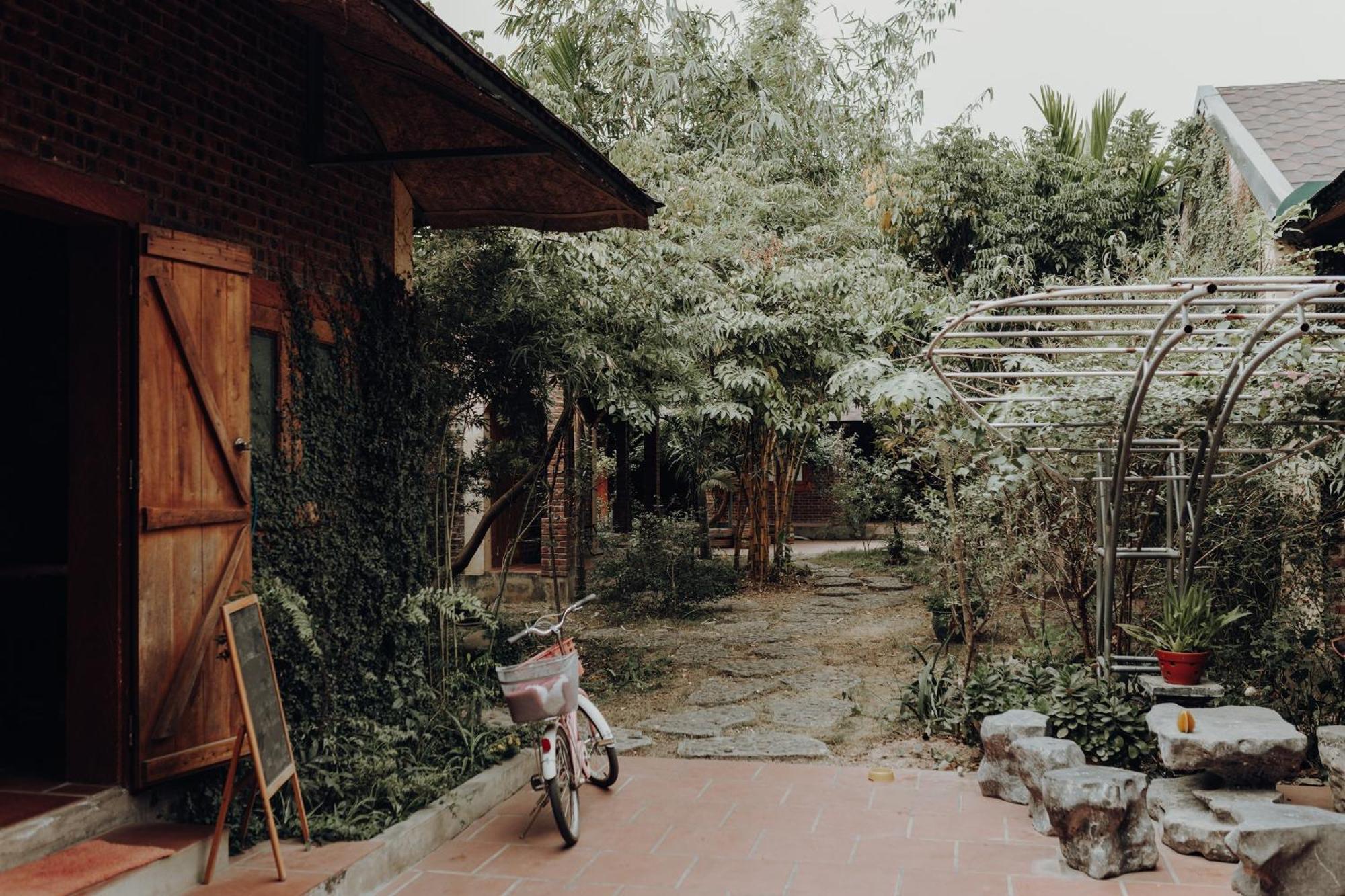 Ninh Binh Palm Homestay エクステリア 写真