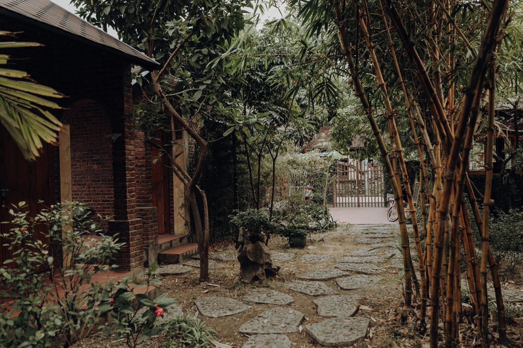 Ninh Binh Palm Homestay エクステリア 写真