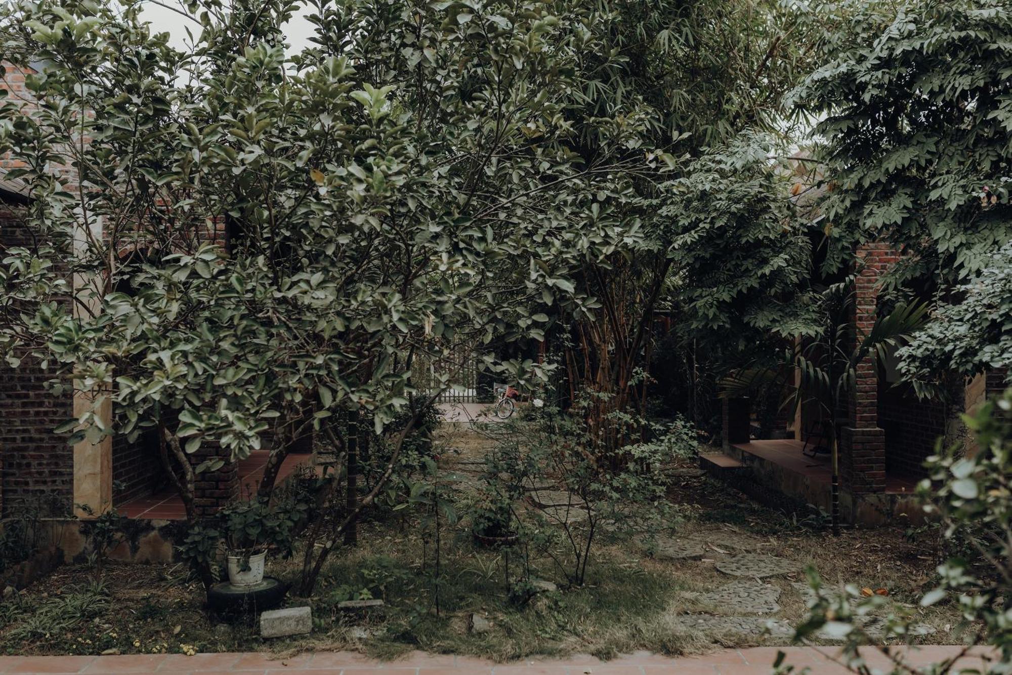 Ninh Binh Palm Homestay エクステリア 写真