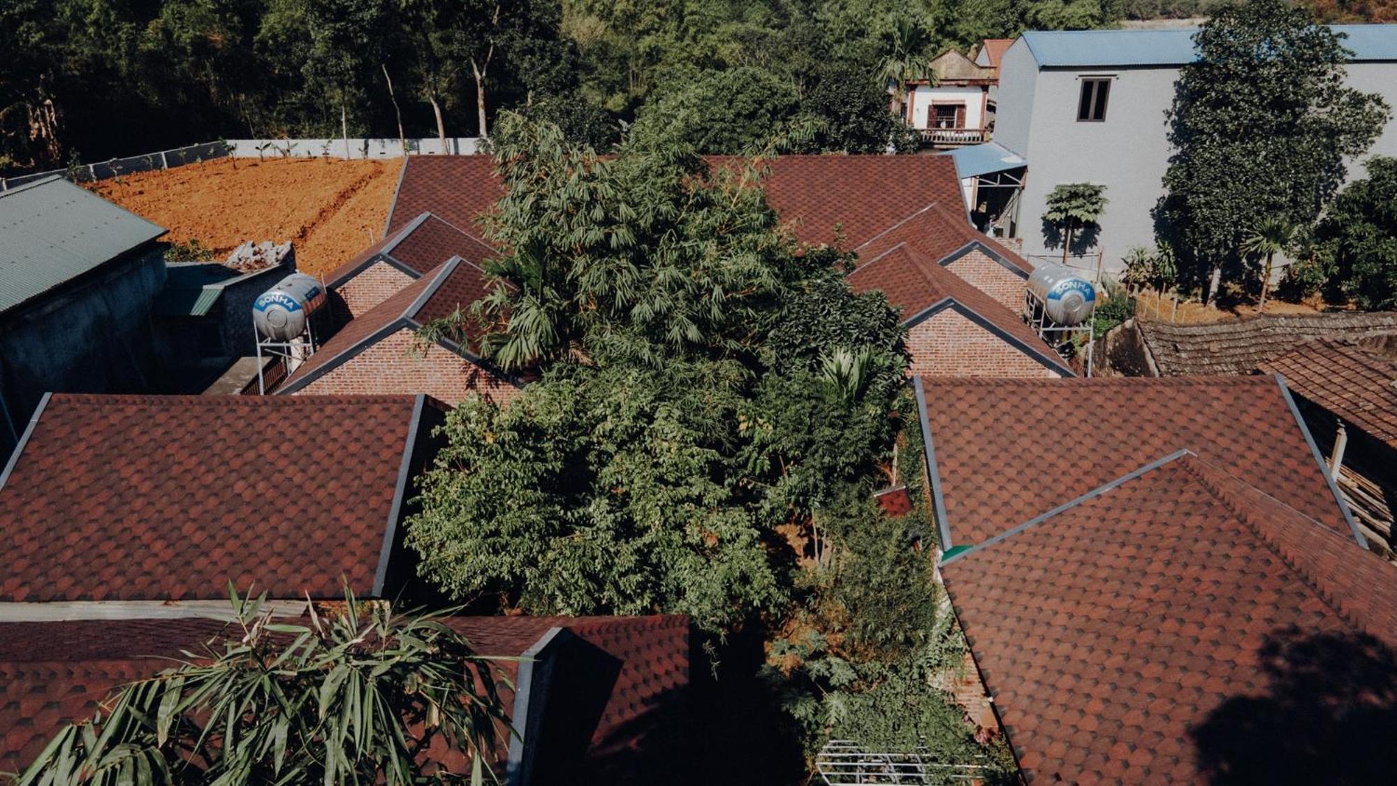 Ninh Binh Palm Homestay エクステリア 写真